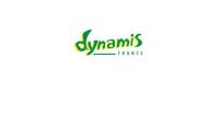 dynamis